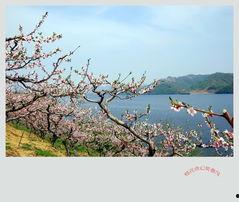 山河依旧满春风,岁月静好如初